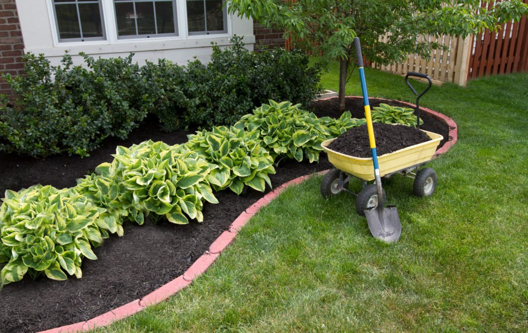 Mulch beds by Terraform Land Co.