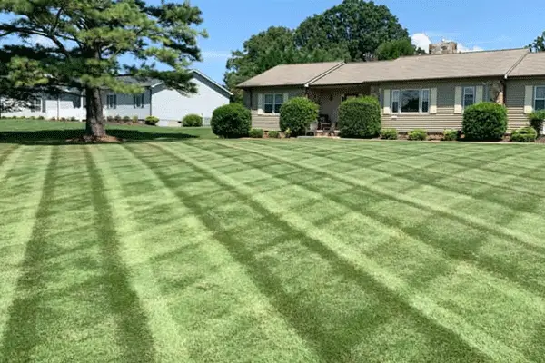 Lawn care by Terraform Land Co.