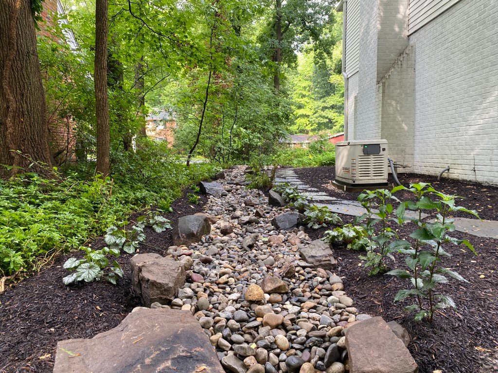 Drainage solutions by Terraform Land Co.