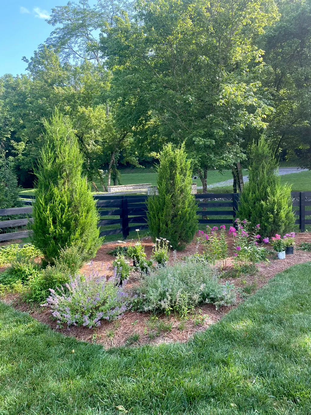 Privacy planting by Terraform Land Co.